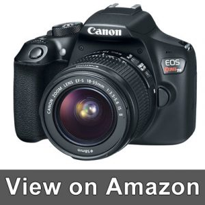 Canon EOS Rebel T6 Review