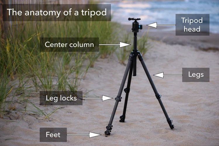 Why Choose A Ball Head Tripod For Outdoor Photography?